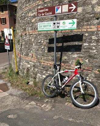 Bici  MTB