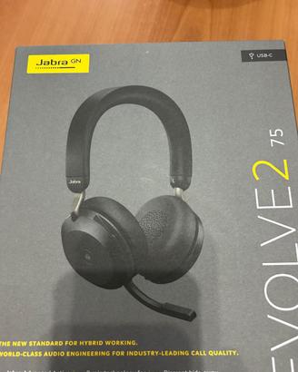 Cuffie wireless professionali