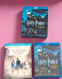 Lotto Harry Potter Collection + Animali Fantastici