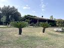 villa-singola-cerveteri-cod-rif-3256728vrg-
