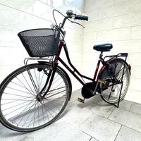 Bici economica