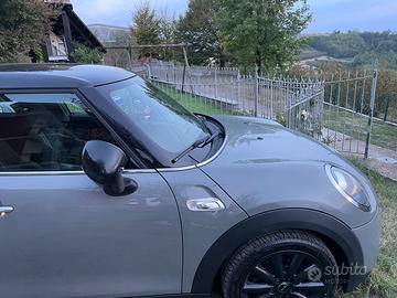 Mini Cooper s 192 cv