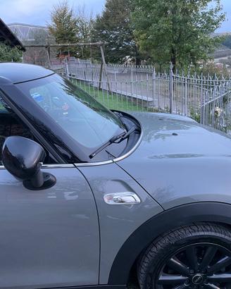 Mini Cooper s 192 cv