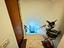 Immagine 25