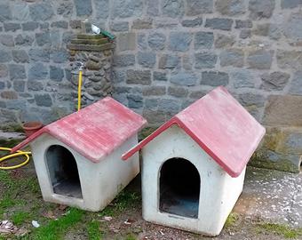 cuccia cane cemento armato 