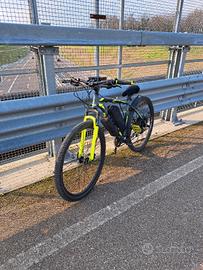 ebike