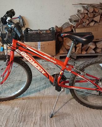 Mtb 24 