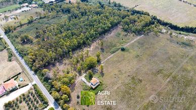 Aprilia (LT) - Terreno 2 HA fronte strada | TR188