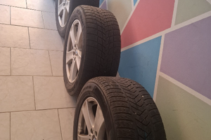 Gomme insime con cerchi