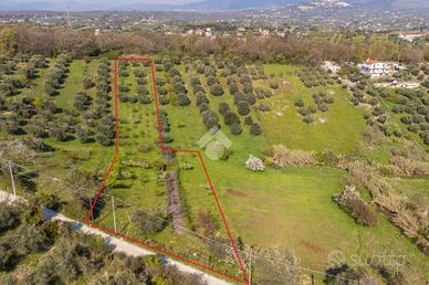 TER. AGRICOLO A FONTE NUOVA