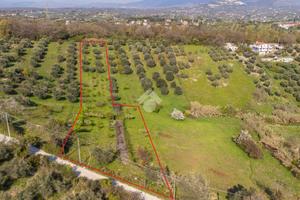 TER. AGRICOLO A FONTE NUOVA