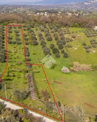 TER. AGRICOLO A FONTE NUOVA