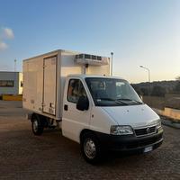 Fiat Ducato furgone Isotermico