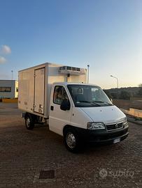 Fiat Ducato furgone Isotermico