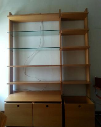 Libreria in legno e vetro