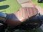 Immagine 10