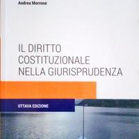 Il diritto costituzionale nella giurisprudenza 