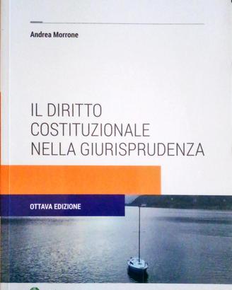 Il diritto costituzionale nella giurisprudenza 