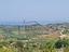 Immagine 11