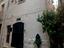 Immagine 6