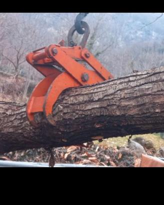 mini pinza meccanica