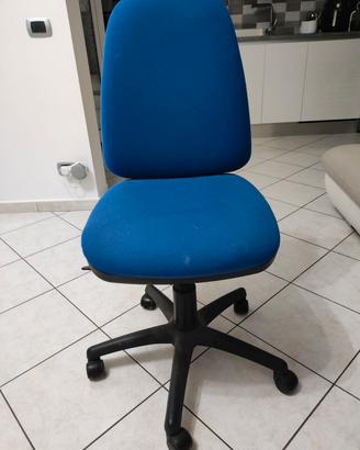 sedia a rotelle per pc