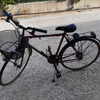 Bicicletta da uomo