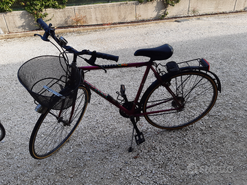 Bicicletta da uomo