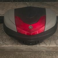 Bauletto Tamx 560 (2020)