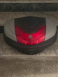 Bauletto Tamx 560 (2020)