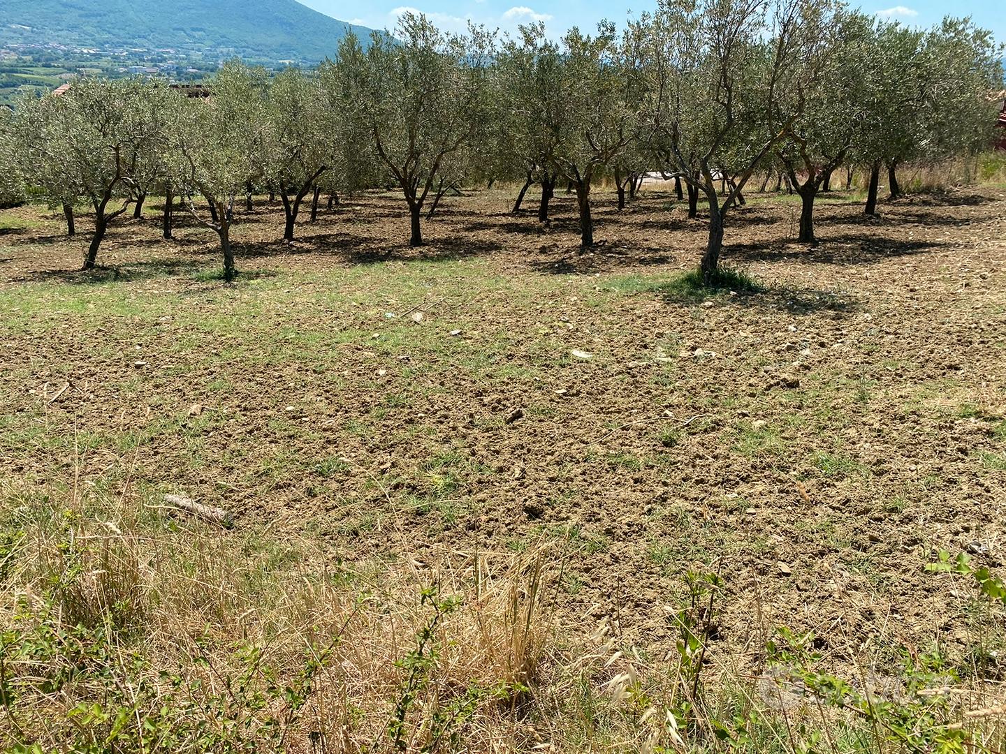 Terreno panoramico - Vista 3