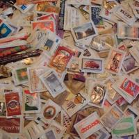 Collezione Bustine Zucch Nuove e Piene