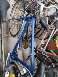 city bike sheridan stimano nexus ruote 28