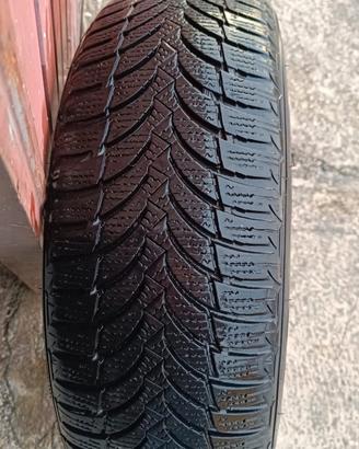 Nexen 185/65/15 invernali 