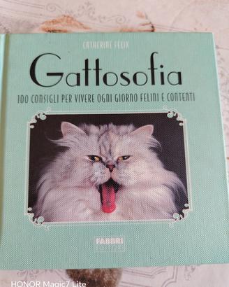 Libro x Gatti alla riscossa 
