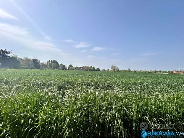 ROVERETO s/S,TERRENO AGRICOLO DI CIRCA 3,3 ETTARI