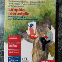 Limpida Meraviglia- ISBN: 9788808411891