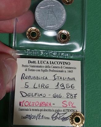 5 Lire 1956 Delfino - molto rara - Periziata SPL