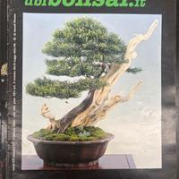 90 riviste bonsai da inizio anni 90