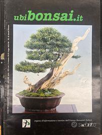 90 riviste bonsai da inizio anni 90