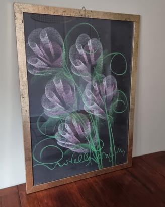 Quadro Novella Parigini 54 x 74 cm con cornice