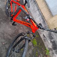 Wheelie bike 29 pollici TG M