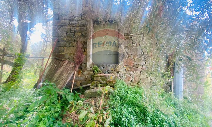 Rustico - Riomaggiore