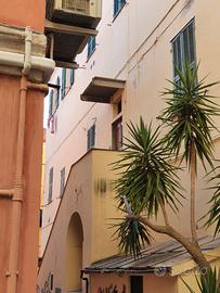 TAGGIa a PERSONALE SCOLASTICO bilocale
