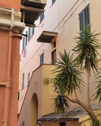 TAGGIa a PERSONALE SCOLASTICO bilocale