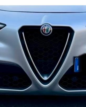 griglie anteriori e scudo stelvio 2021
