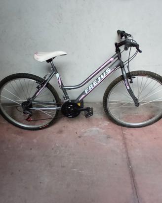 Mountain bike 26 pollici