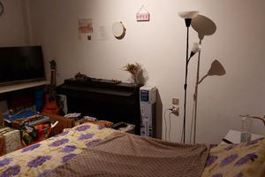 Stanza singola - Zona Novoli, Firenze