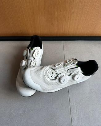 Scarpe Q36.5 Gregarius
