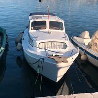 a malincuore x motivi di salute